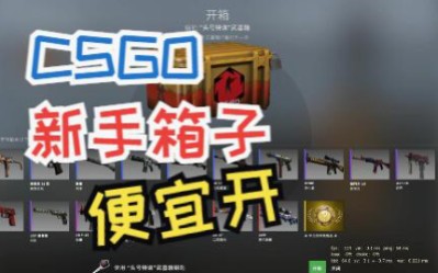 csgo在哪个网站抽箱子 新手便宜开箱推荐