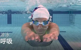 水中呼吸 搜索结果 哔哩哔哩 Bilibili