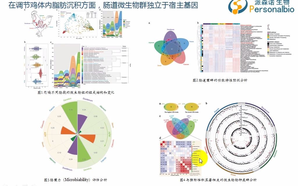 5.微生物组经典案例解读、研究思路分享哔哩哔哩bilibili