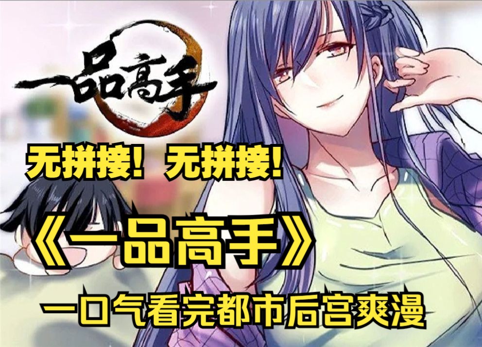 【无拼接!打击PDD】一口气看爽都市后宫爽漫《一品高手》!哔哩哔哩bilibili