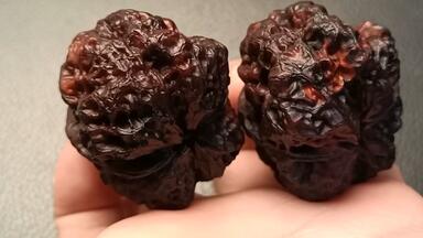 文玩核桃30mm，九层妖塔，超肥八腿全蹬，蟾型漂亮，有开背，骨质