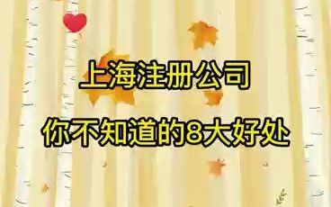 上海注册公司你不知道的8大好处哔哩哔哩bilibili