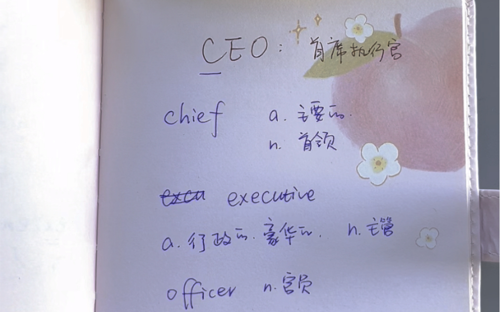 “CEO”是什么意思?哔哩哔哩bilibili