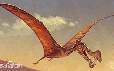 啊酉《方舟,水晶岛》岩龙窝狮鹫谷建家的地方