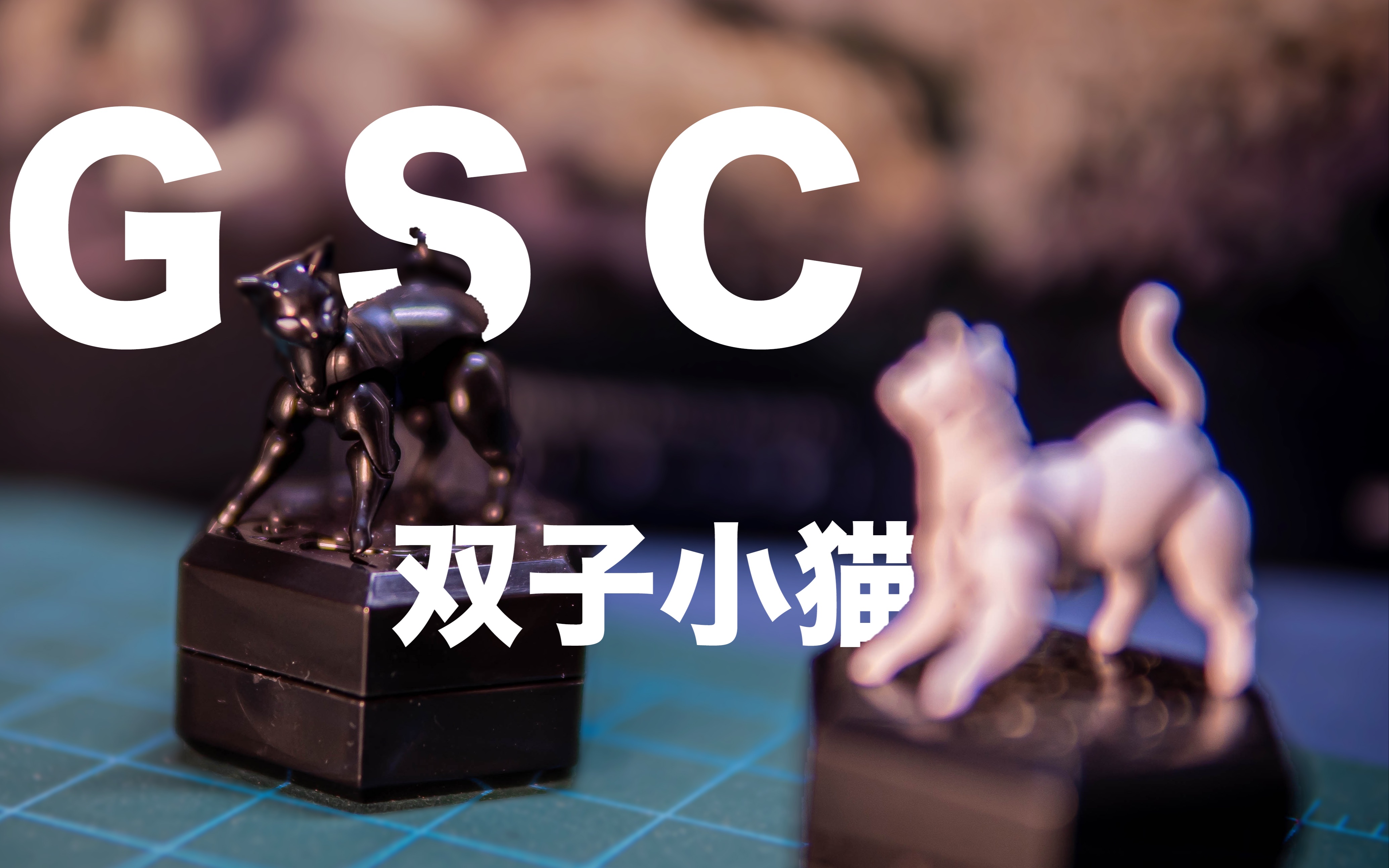 【解压】【胶响乐】GSC Chitocerium 盒子娘 双子的小猫咪哔哩哔哩bilibili