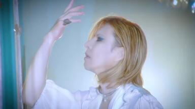 搬运】Taiji - LEGEND OF PHOENIX 沢田泰司追悼specialDVD_哔哩哔哩_