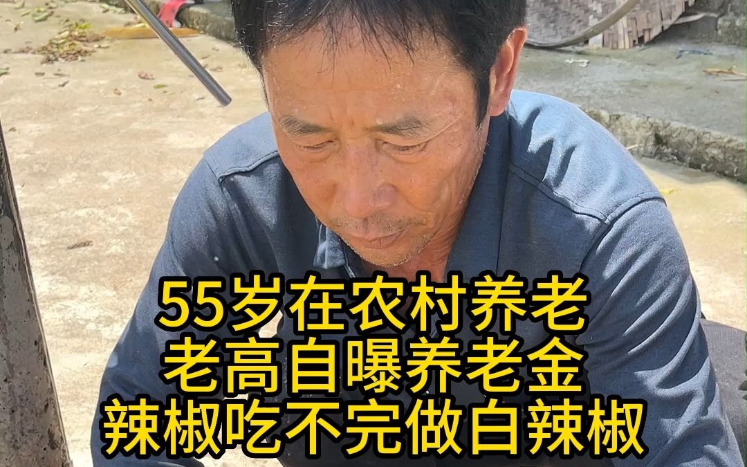 55岁在农村养老:老高自曝养老金,菜园辣椒吃不完晒白辣椒,做白辣椒炒鸡太香了哔哩哔哩bilibili