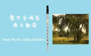 Download Video: 【爱尔兰哨笛演示教学】【Down by the Salley Garden(漫步神秘园)】