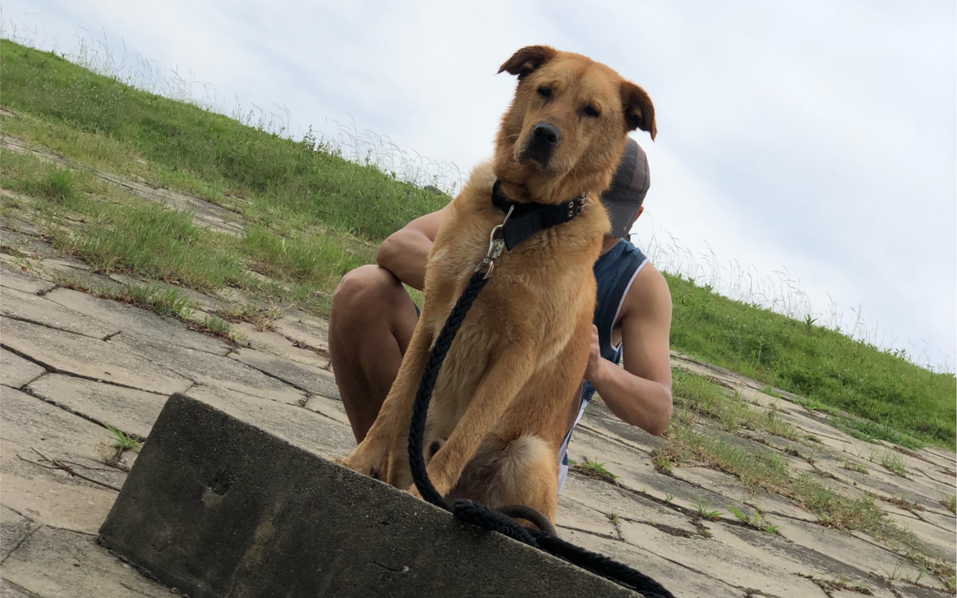 沙雕狗生_哔哩哔哩 (゜-゜)つロ 干杯~-bilibili