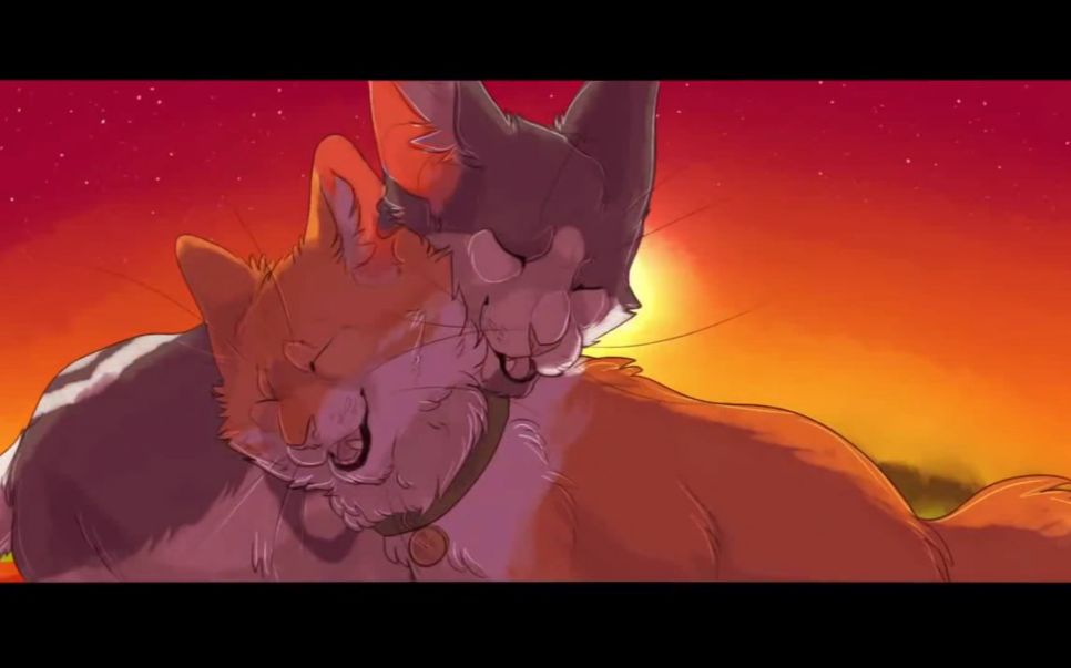 【猫武士】高星&杰克 - can you hear me【amv】