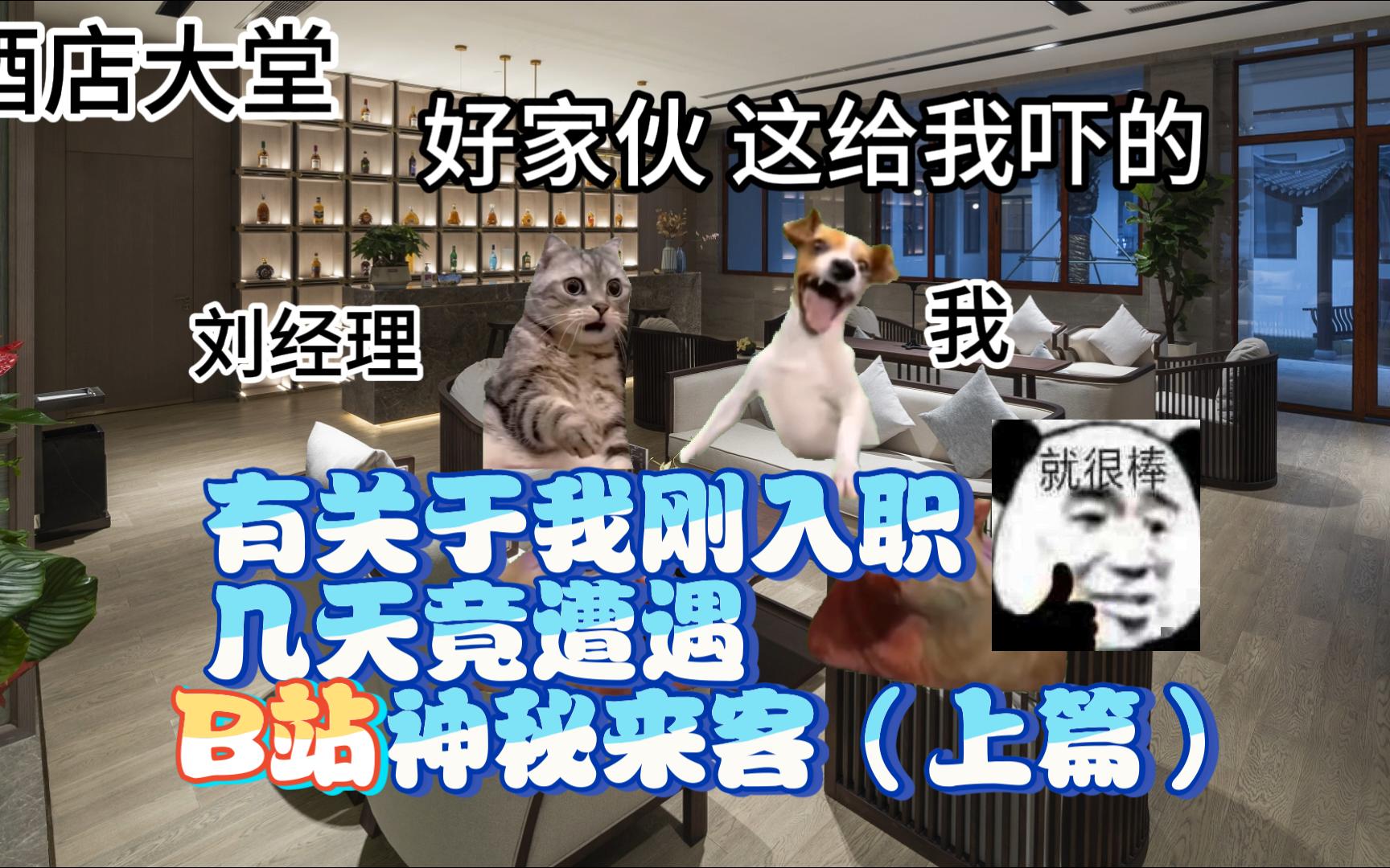 有关于我刚入职几天竟遭遇b站神秘来客(上篇)