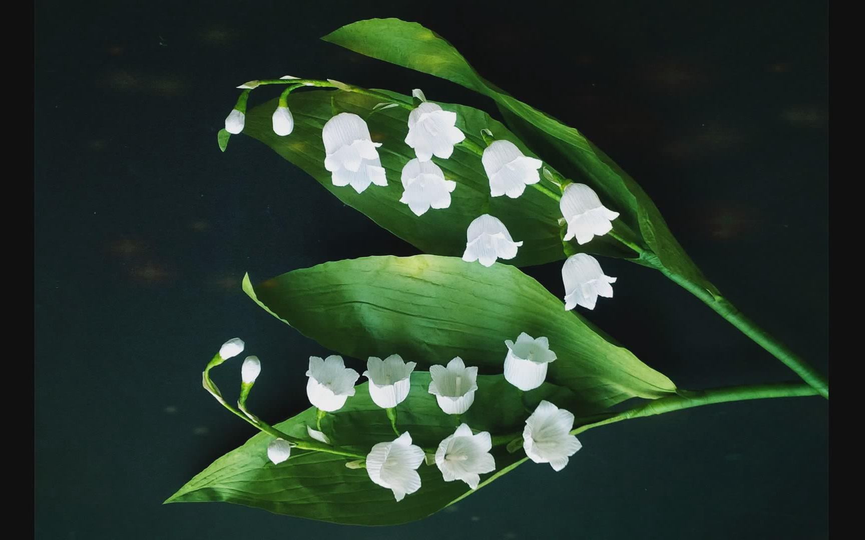 灯盏花,又名灯笼花,是一种多年生草本植物,属于灯盏科,其花朵呈灯笼状