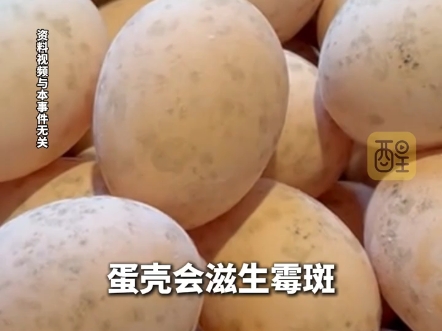 这种“长斑”的鸡蛋，千万别再吃了，那就是霉斑蛋。