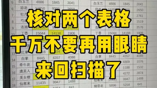 快速核对数据