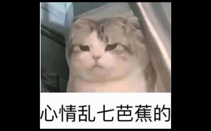 如果我的表情包有声音哔哩哔哩bilibili