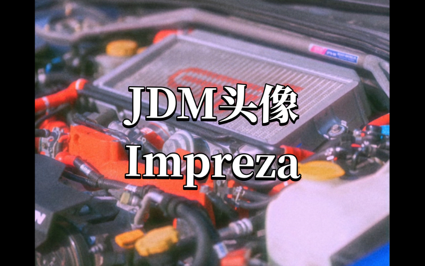 【JDM】JDM头像之小豹子哔哩哔哩bilibili