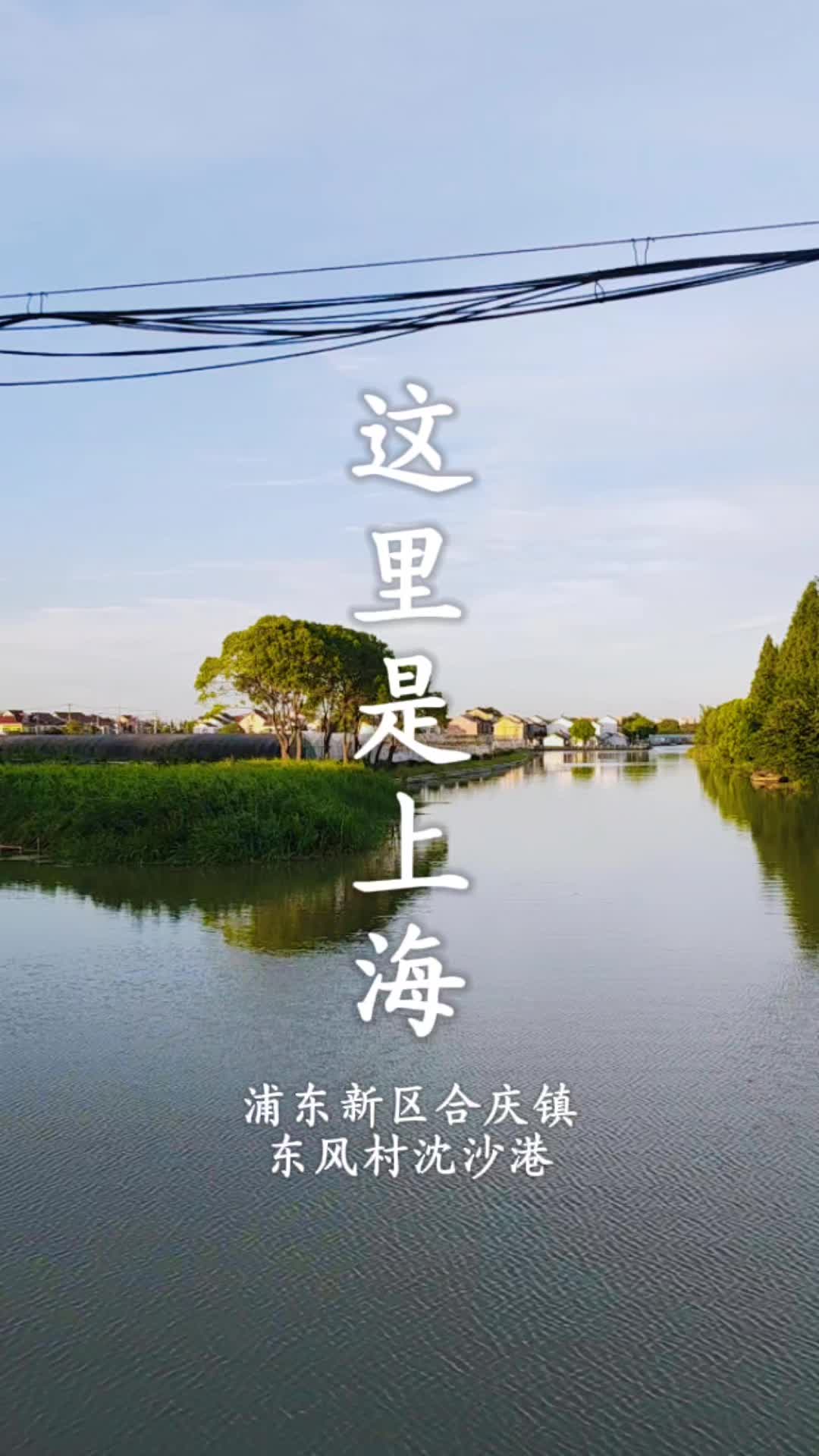 这就是上海:浦东新区合庆镇东风村沈沙港