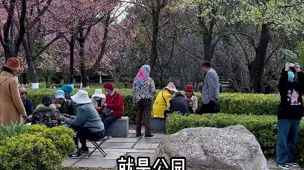 这是一座不会让你感觉到陌生的城市,云南曲靖,我来喽哔哩哔哩bilibili