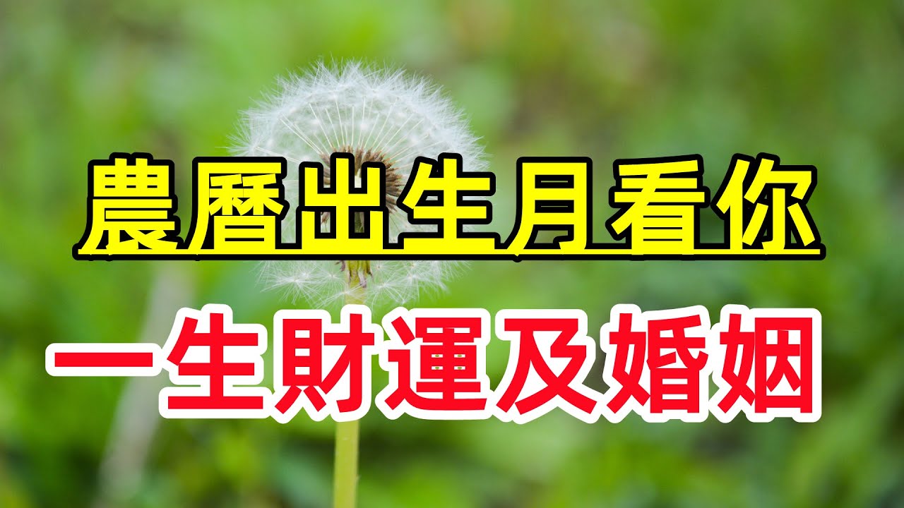 【农历出生月】看你一生财运及婚姻生活!哔哩哔哩bilibili