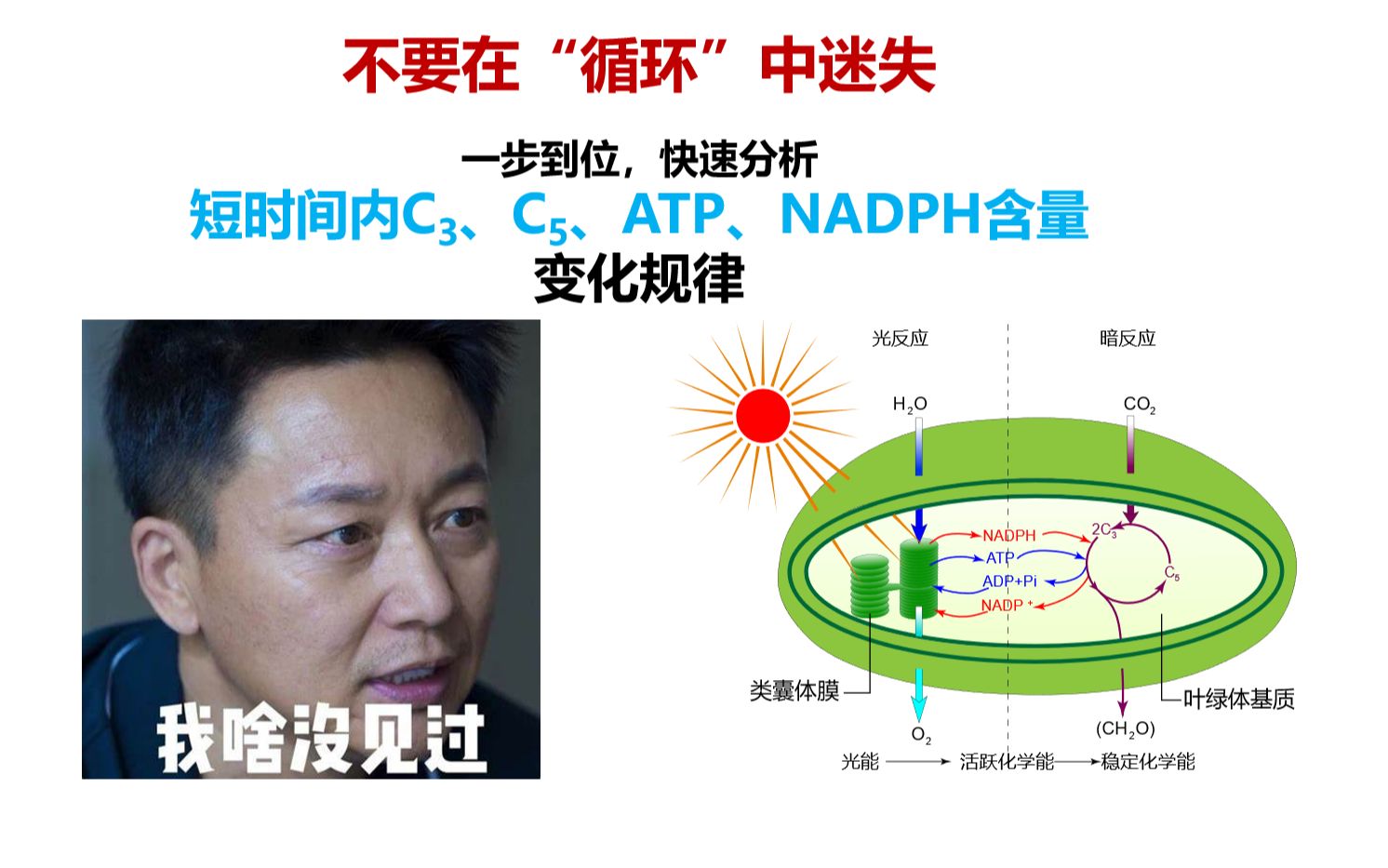 高中生物光合作用:短时间内C3、C5(碳3碳5)、ATP、NADPH含量变化规律哔哩哔哩bilibili