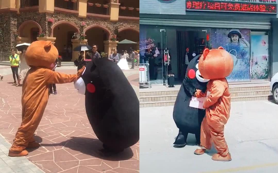 熊本熊和布朗熊打架,确认过眼神,你是我打不过的人