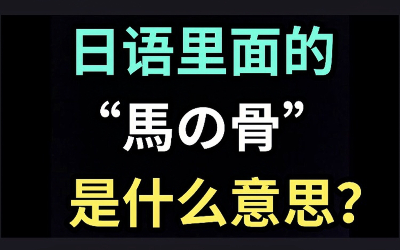 日语里的“马の骨”是什么意思?【每天一个生草日语】哔哩哔哩bilibili