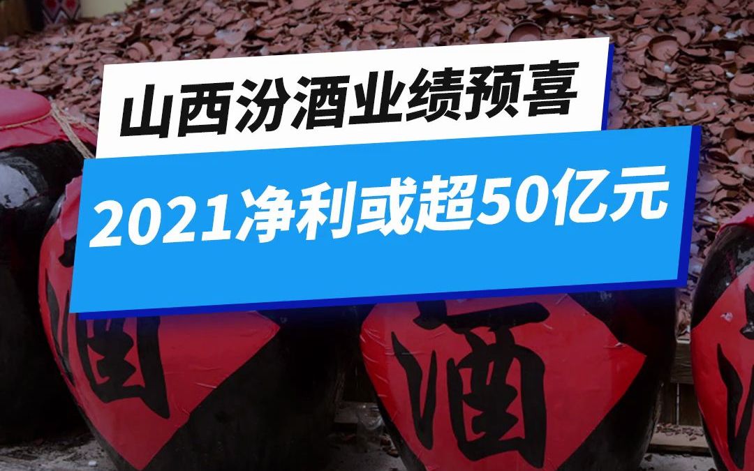 山西汾酒业绩预喜 2021净利或超50亿元哔哩哔哩bilibili