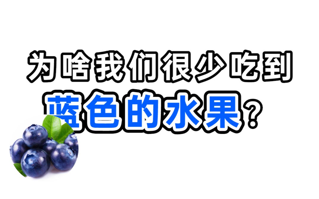 在生活中为什么很少看见蓝色的水果呢?哔哩哔哩bilibili