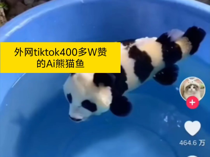 外网tiktok400多万赞的Ai熊猫鱼哔哩哔哩bilibili