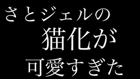 すとぷり 修学旅行の夜を楽しむすとぷり 文字起こし 哔哩哔哩 つロ干杯 Bilibili