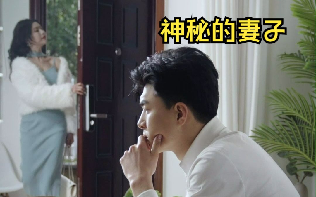 神秘的妻子【合集】