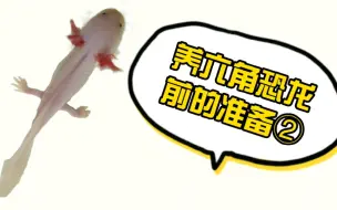 Download Video: 【六角恐龙】教学向，养龙前的准备②