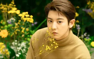 Download Video: 【Playlist】- CHANYEOL 朴灿烈