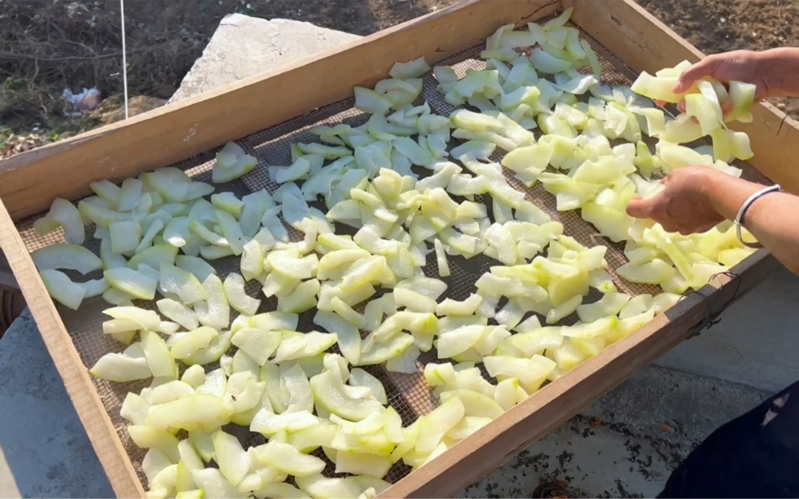 晒冬瓜干,晒干后比新鲜的还好吃,冬天炒肉超香,我家年年都要晒