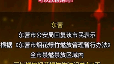 山东东营、滨州两地已明确春节期间可燃放烟花爆竹哔哩哔哩bilibili