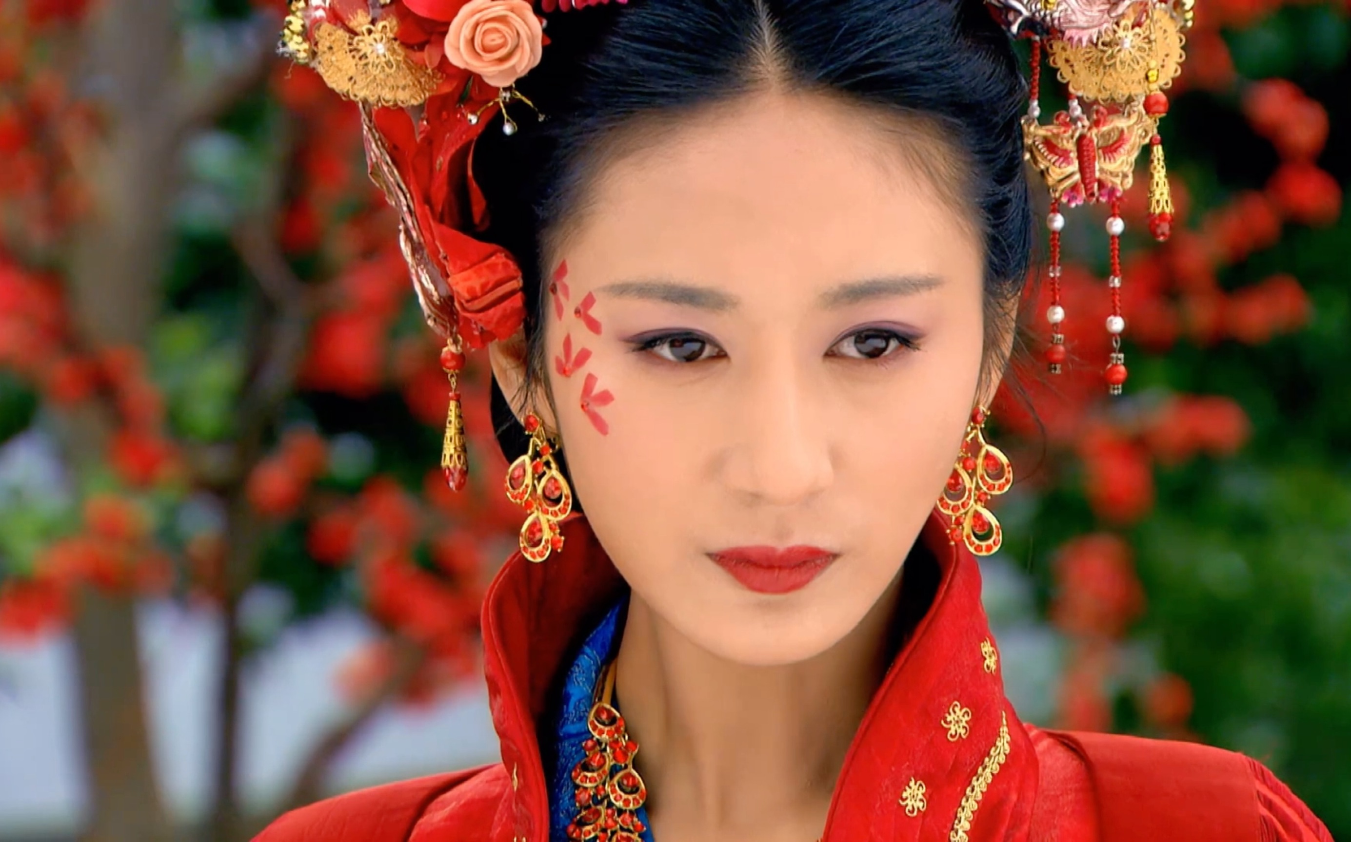 【华胥引61十三月】【莺歌61容浔】成为容家最好的刀,只是一把最