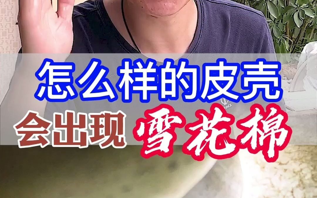 木纳雪花棉料子哔哩哔哩bilibili