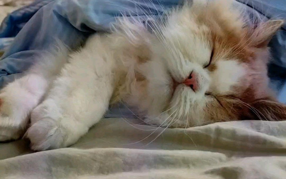 天黑了就快去睡觉.这孩子终于愿意睡在床上了