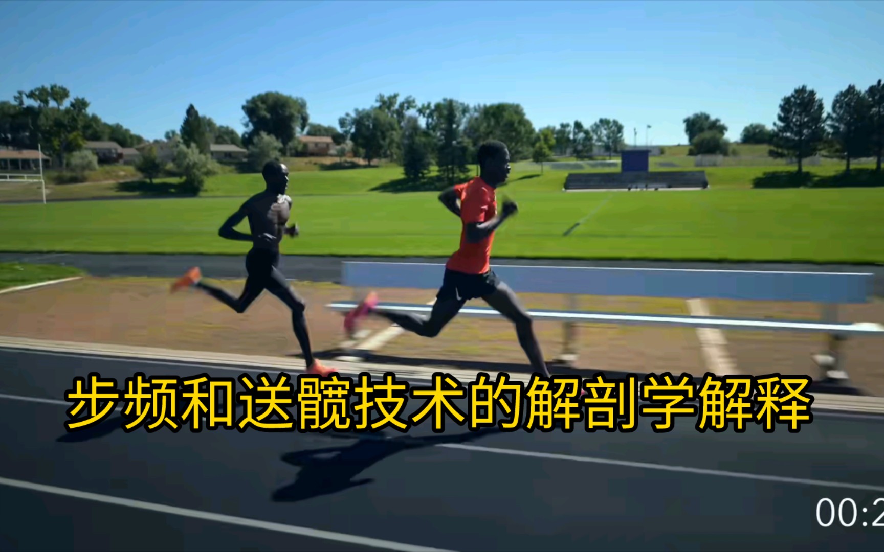 [图]跑步，步频     步幅