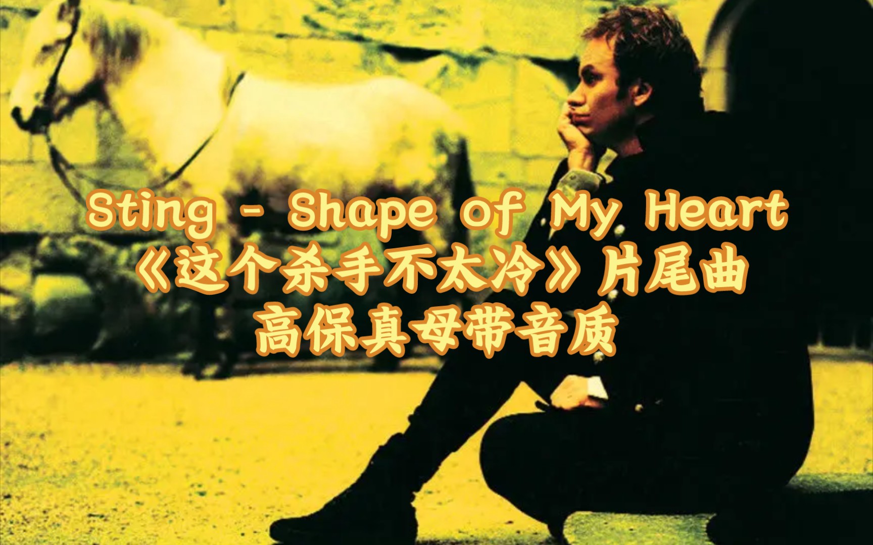 [图]Sting - Shape of My Heart高保真母带音质音频（获取方式见简介）