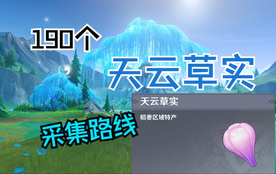 [图]【原神】天云草实共190个！雷神、绮良良的突破材料/稻妻特产/分路线收集