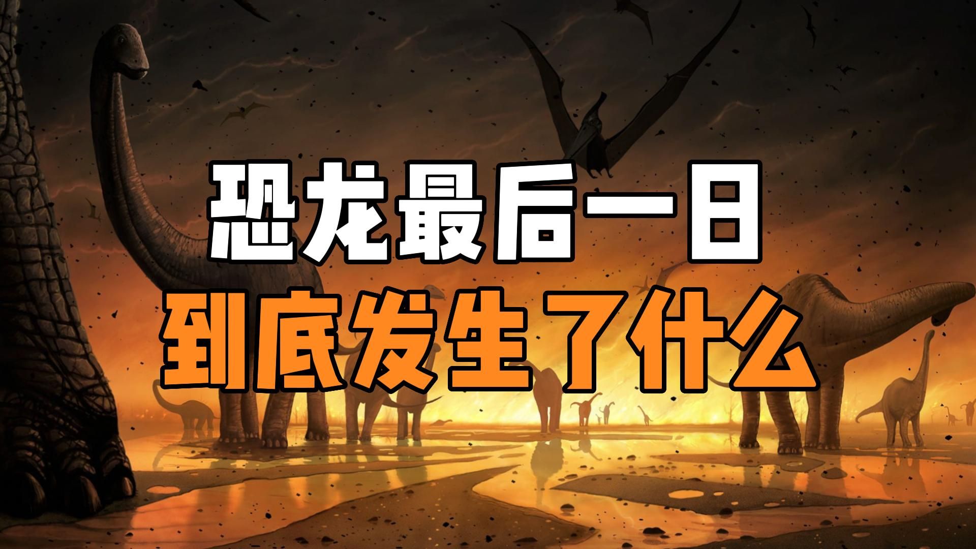 恐龙最后一日到底发生了什么?揭开6500万年前恐龙灭绝真相哔哩哔哩bilibili