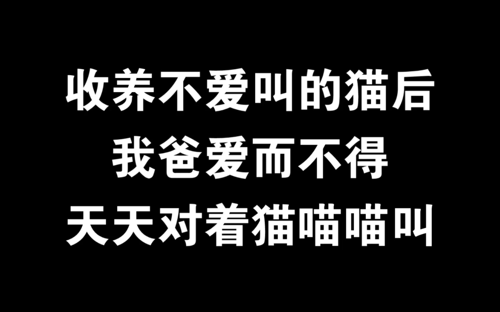 《关于我爸想教猫如何喵喵叫那件事》如何养猫系列(上)哔哩哔哩bilibili