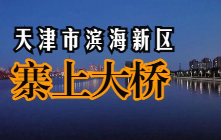 【基本情况简介】天津市滨海新区汉沽寨上大桥哔哩哔哩bilibili