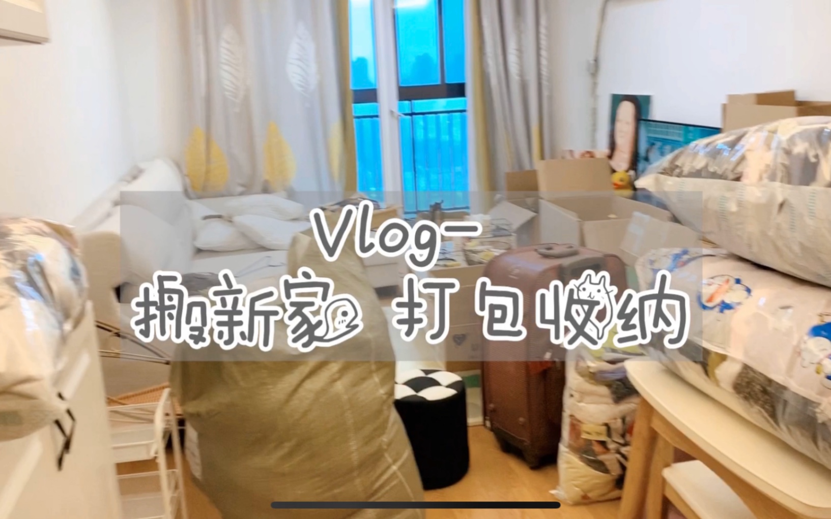 搬家vlog|打包收纳 带猫搬家日常分享哔哩哔哩bilibili