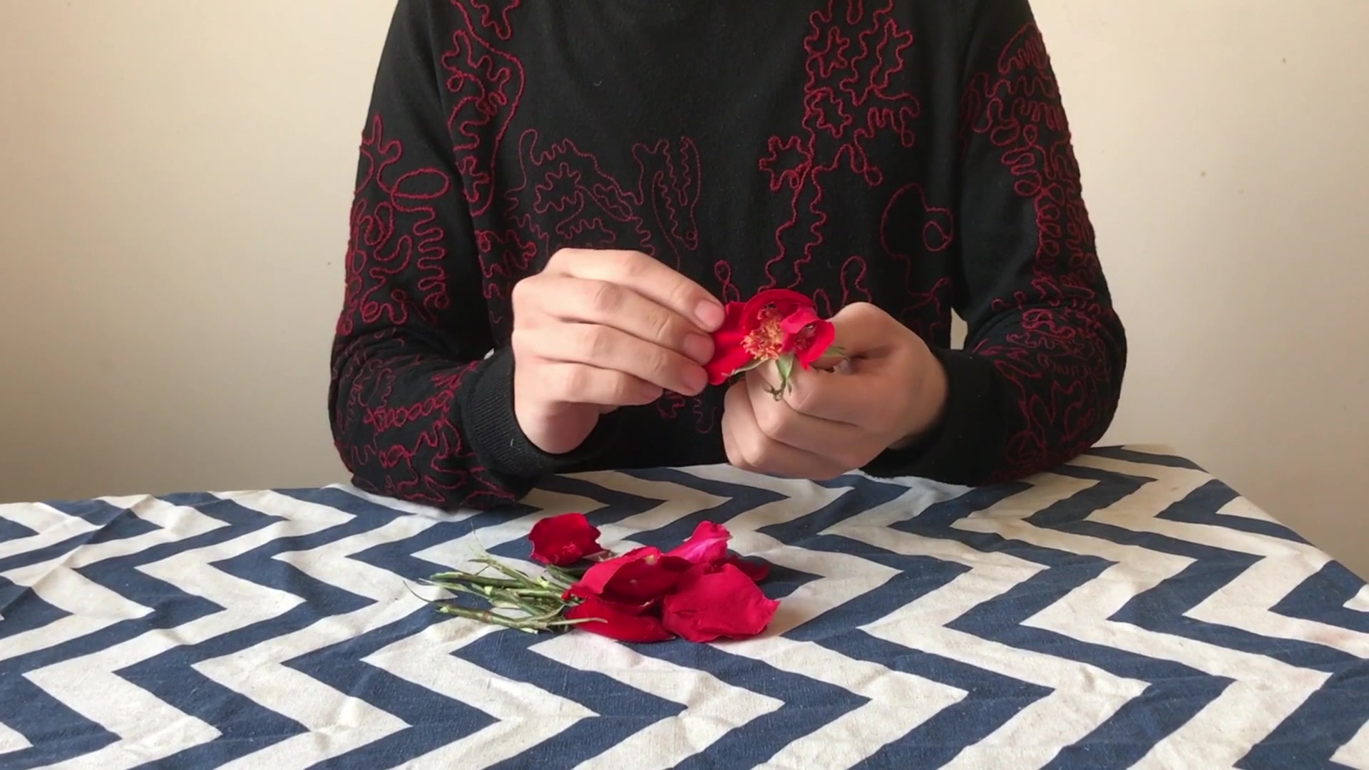 把玫瑰花瓣一瓣一瓣扯下的过程倒放过来会是啥样?_哔哩哔哩_bilibili