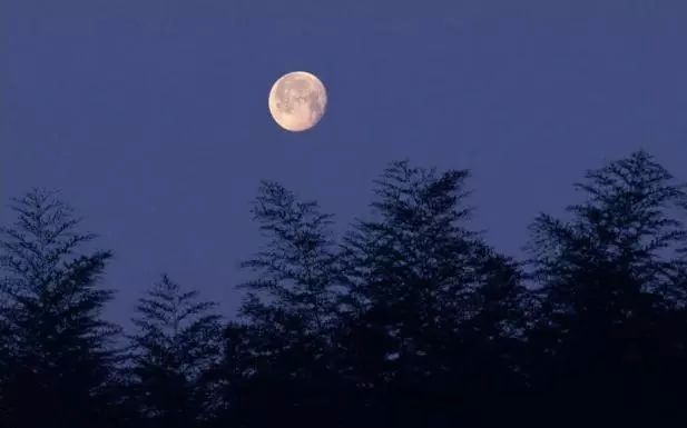 [图]原创琴曲《月下思》孤夜难眠又思亲，对月轻抚诉我心