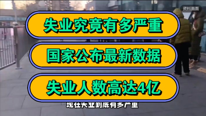 失业究竟有多严重?国家公布最新数据,失业人数高达4亿!哔哩哔哩bilibili