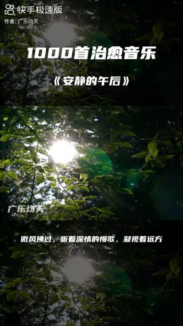 安静的歌曲(歌手安静的歌曲)