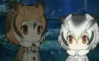 ウミウ けものフレンズ 哔哩哔哩 Bilibili